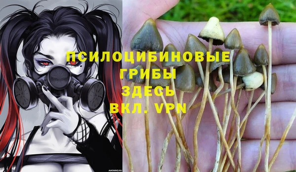 спайс Балахна